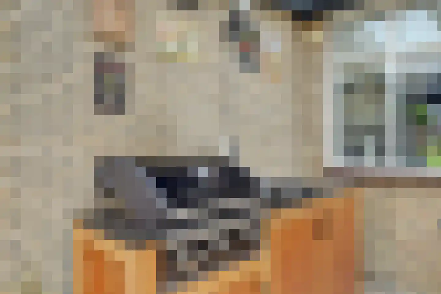 Kasteellaan 29 Raamsdonksveer thumbnail 37