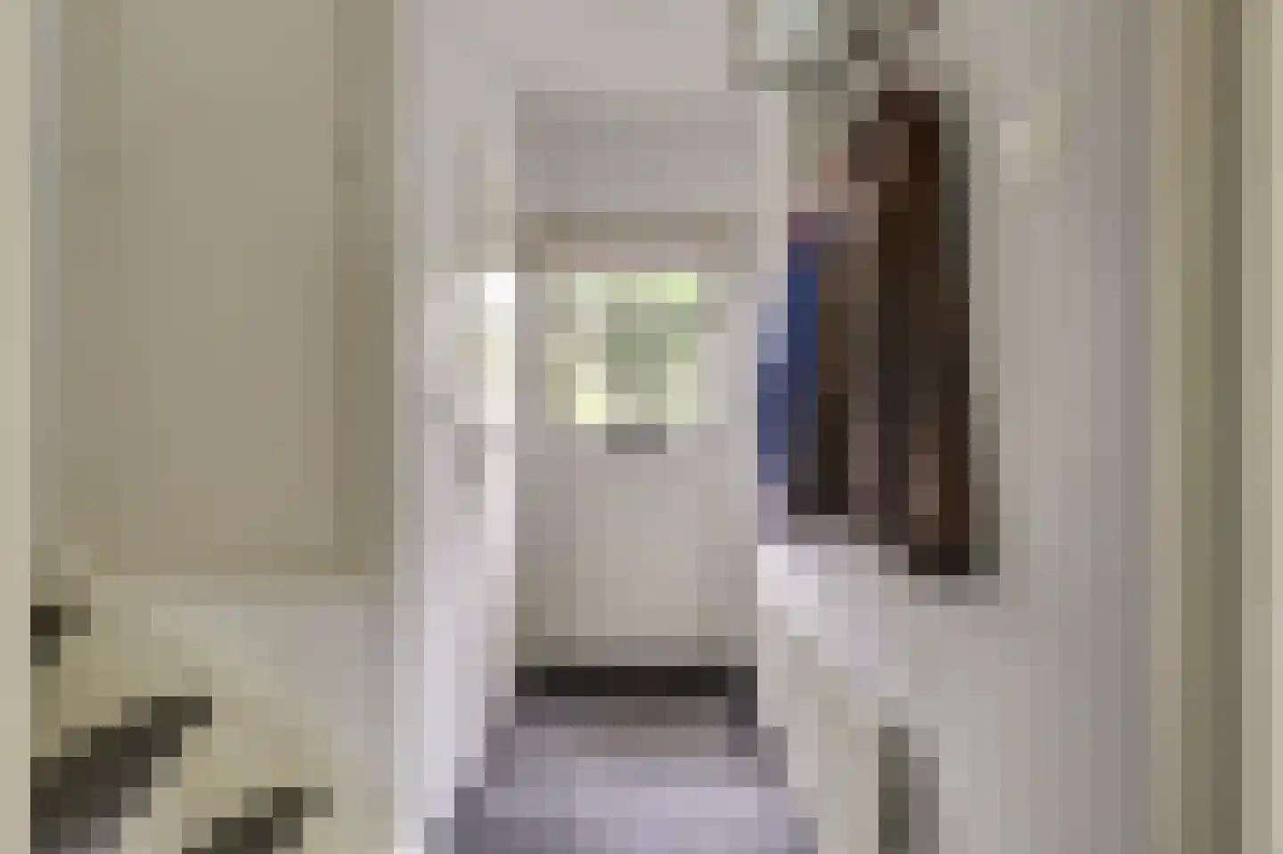 Kasteellaan 29 Raamsdonksveer thumbnail 6