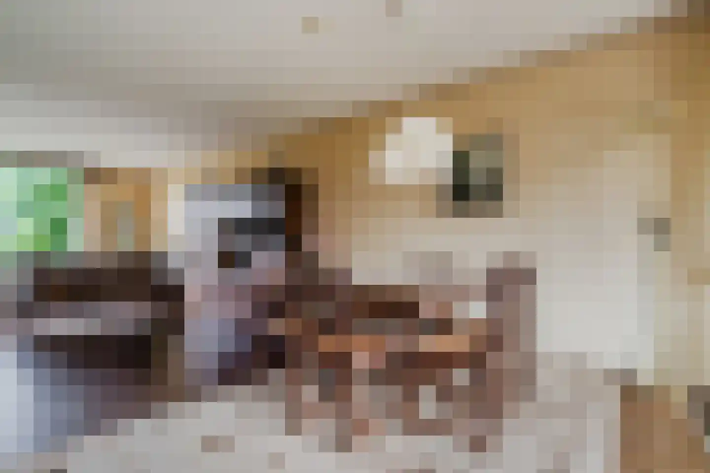 Kasteellaan 32 Oudorp thumbnail 10