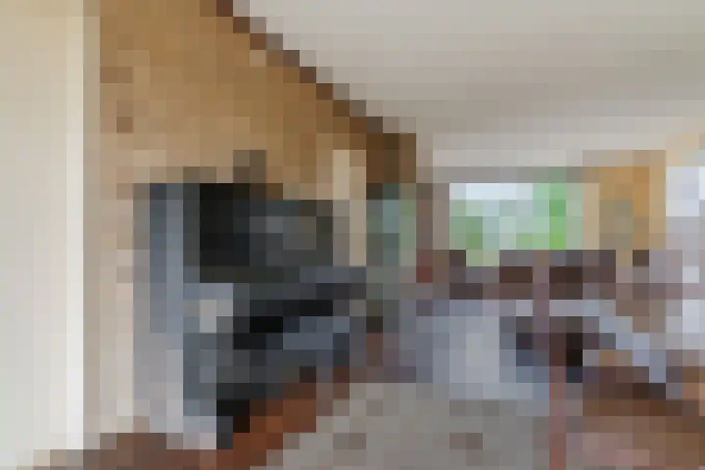 Kasteellaan 32 Oudorp thumbnail 11