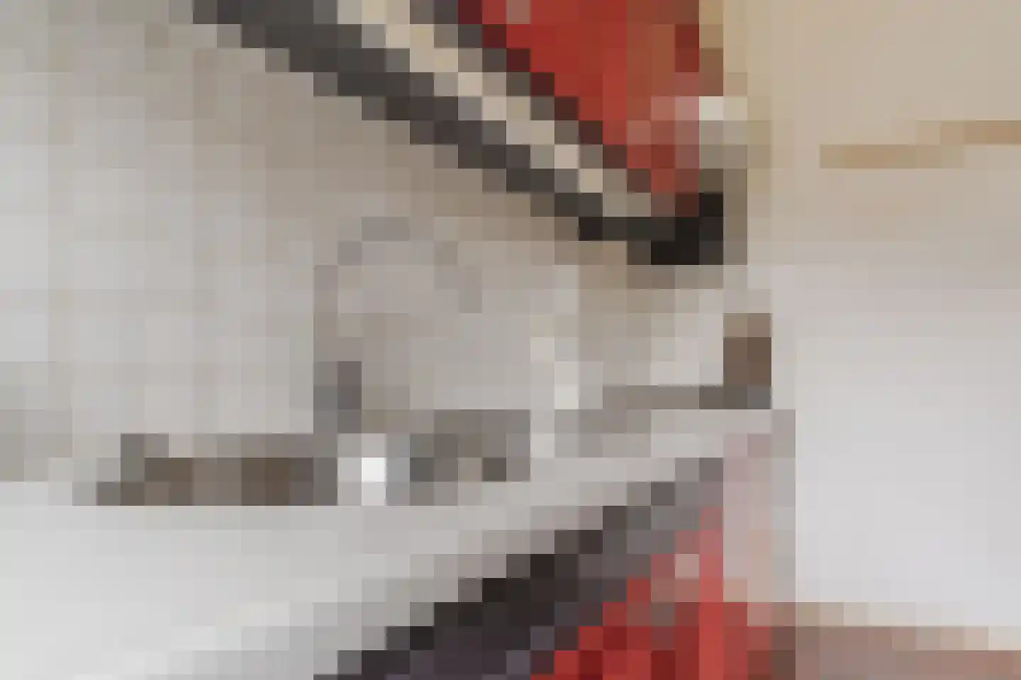 Kasteellaan 32 Oudorp thumbnail 15