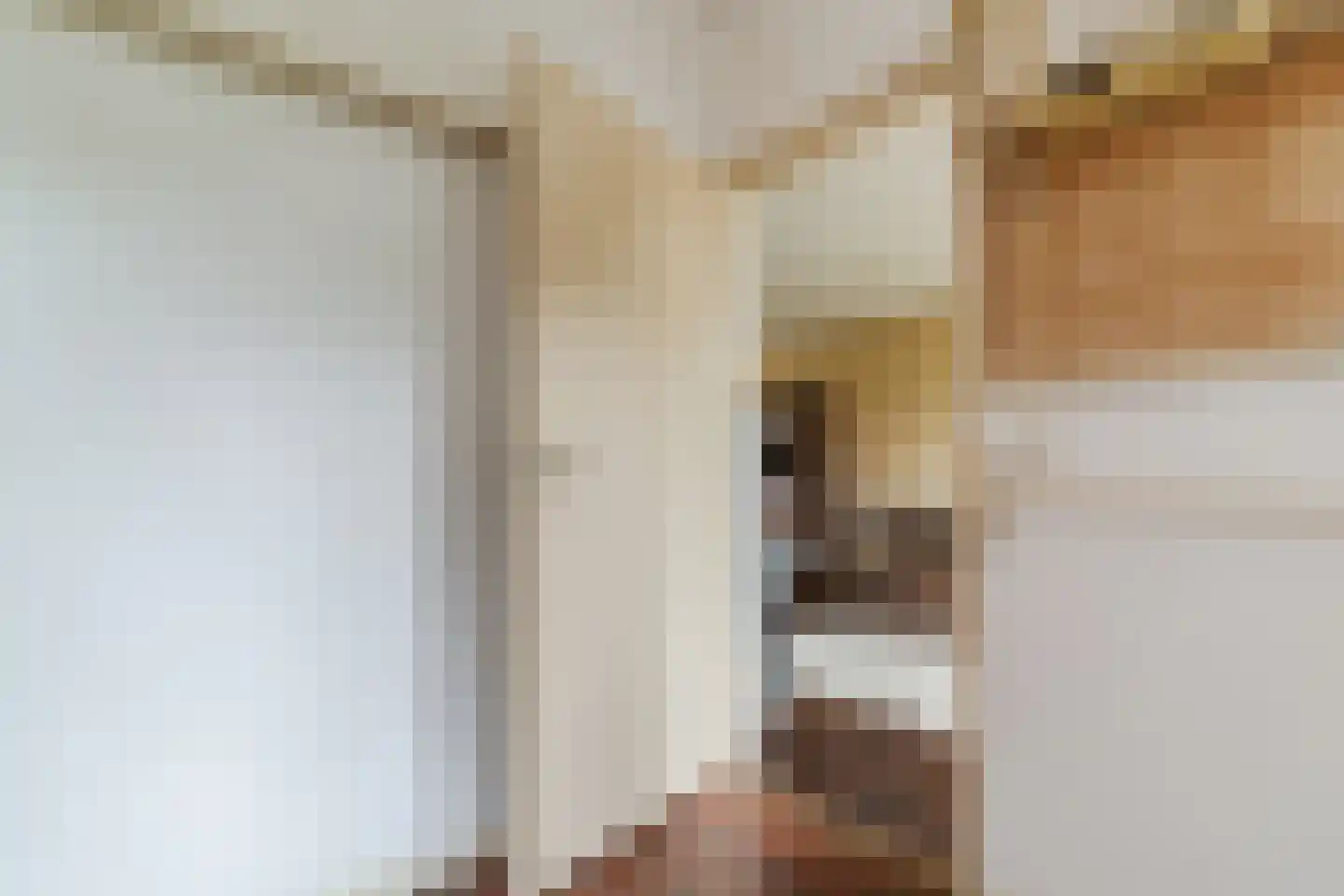 Kasteellaan 32 Oudorp thumbnail 17