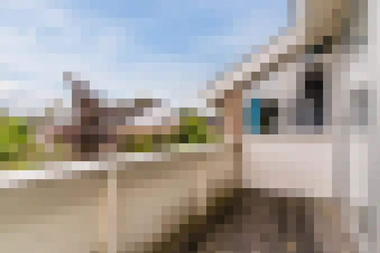 Kasteellaan 32 Oudorp thumbnail 42