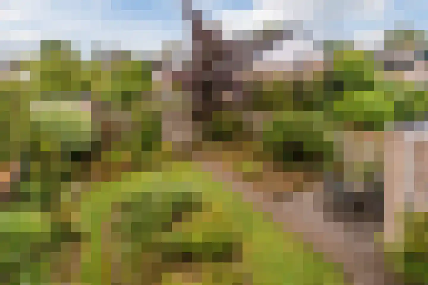 Kasteellaan 32 Oudorp thumbnail 43