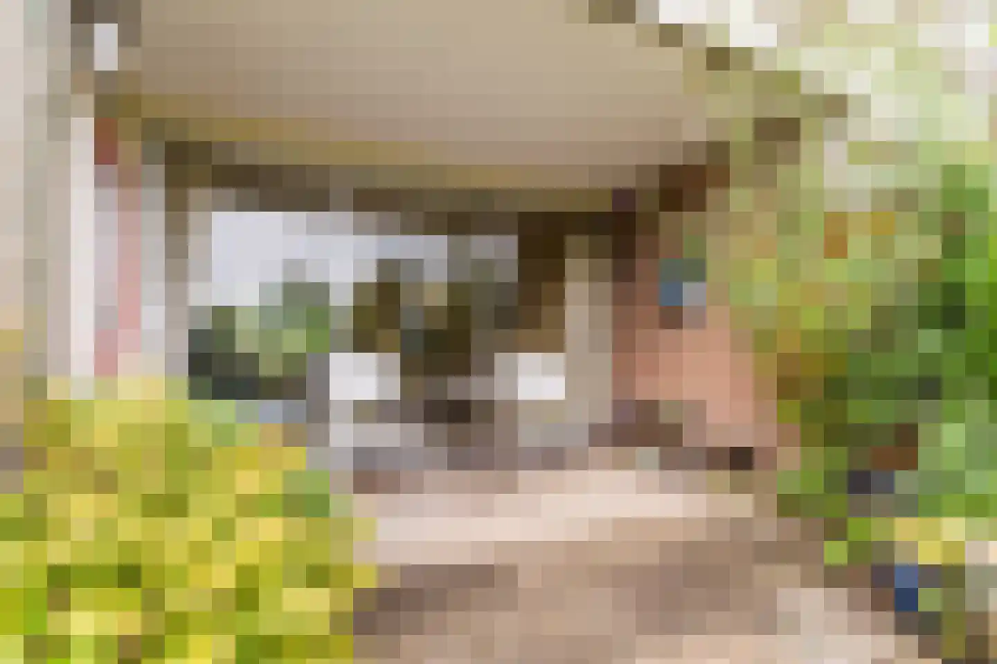 Kasteellaan 32 Oudorp thumbnail 47