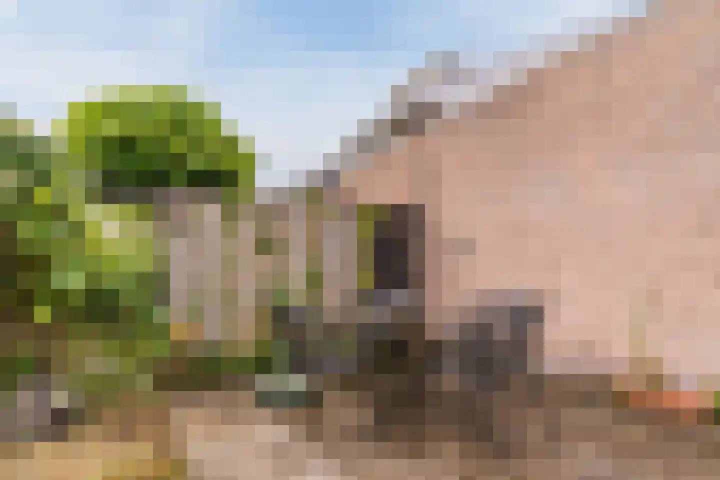 Kasteellaan 32 Oudorp thumbnail 49