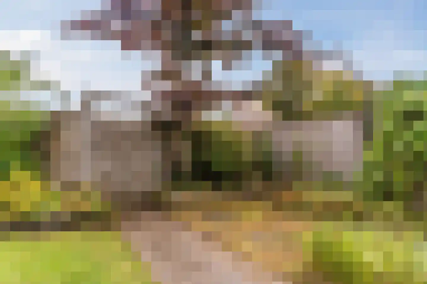 Kasteellaan 32 Oudorp thumbnail 52