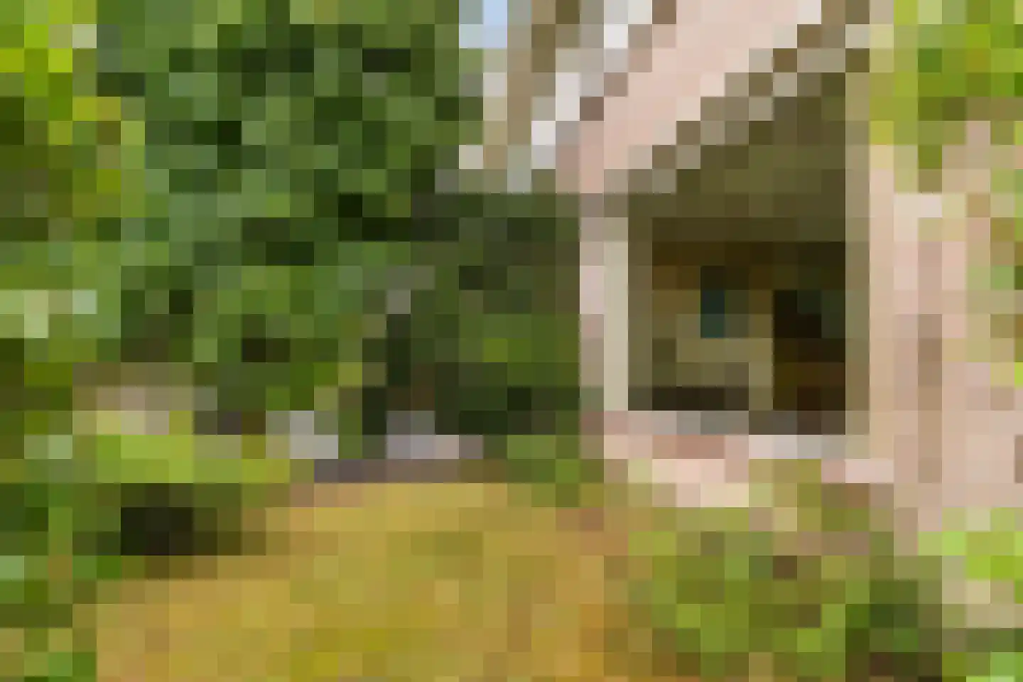Kasteellaan 32 Oudorp thumbnail 55