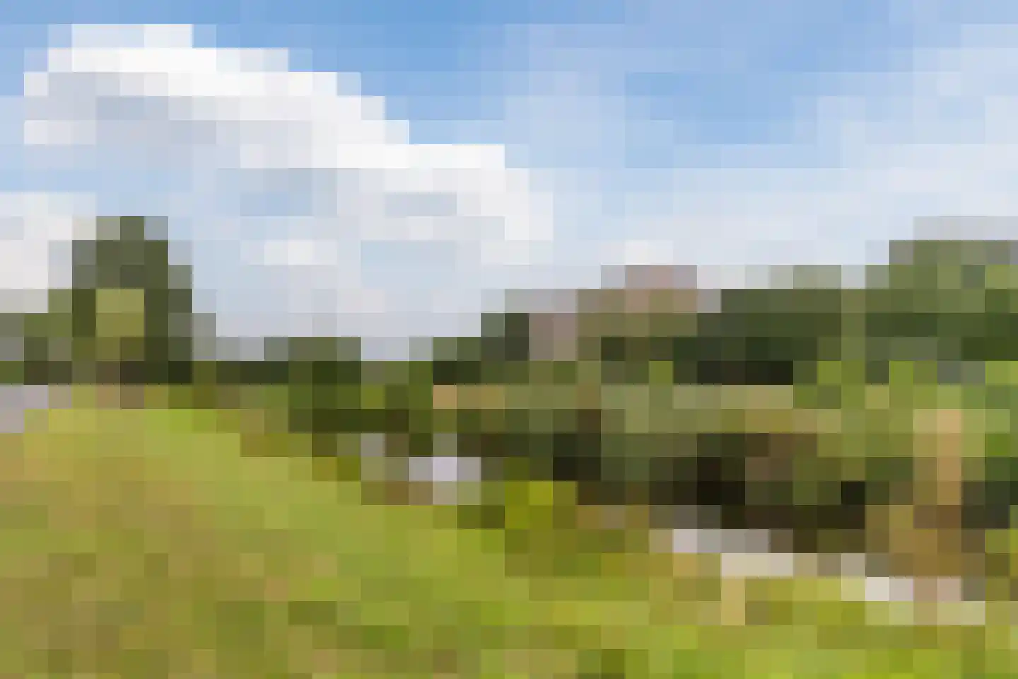 Kasteellaan 32 Oudorp thumbnail 56