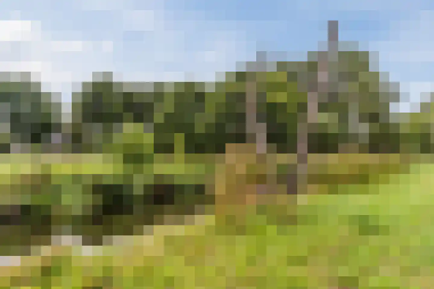 Kasteellaan 32 Oudorp thumbnail 57