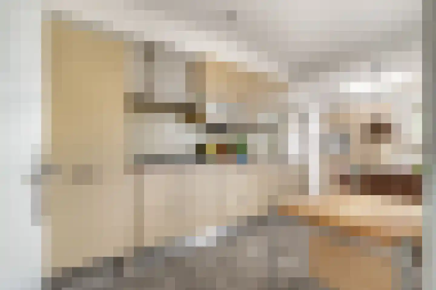 Kasteellaan 37 Oudorp thumbnail 13