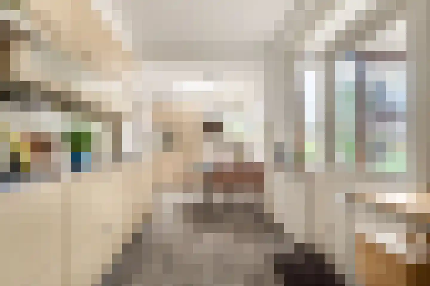 Kasteellaan 37 Oudorp thumbnail 15