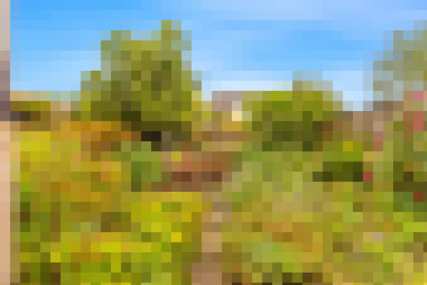 Kasteellaan 37 Oudorp thumbnail 19
