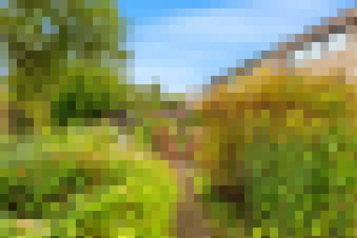 Kasteellaan 37 Oudorp thumbnail 22