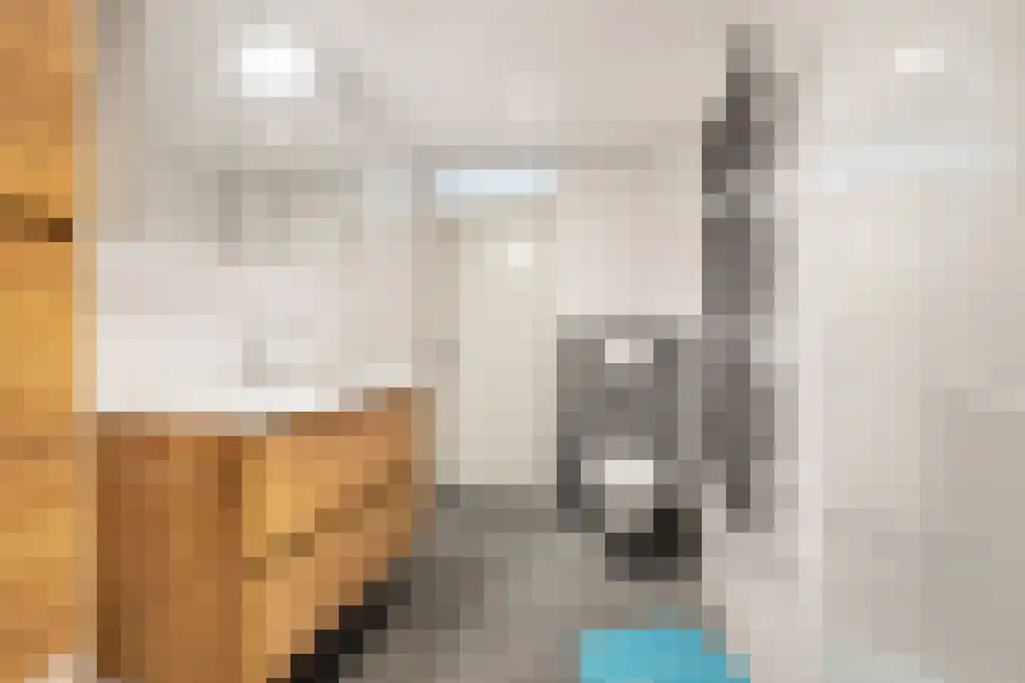 Kasteellaan 37 Oudorp thumbnail 25