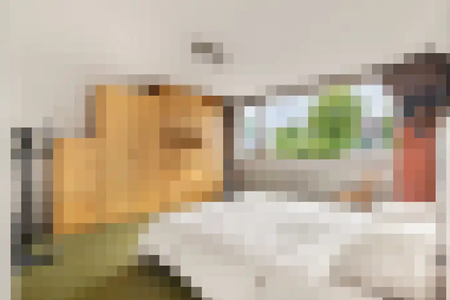 Kasteellaan 37 Oudorp thumbnail 28
