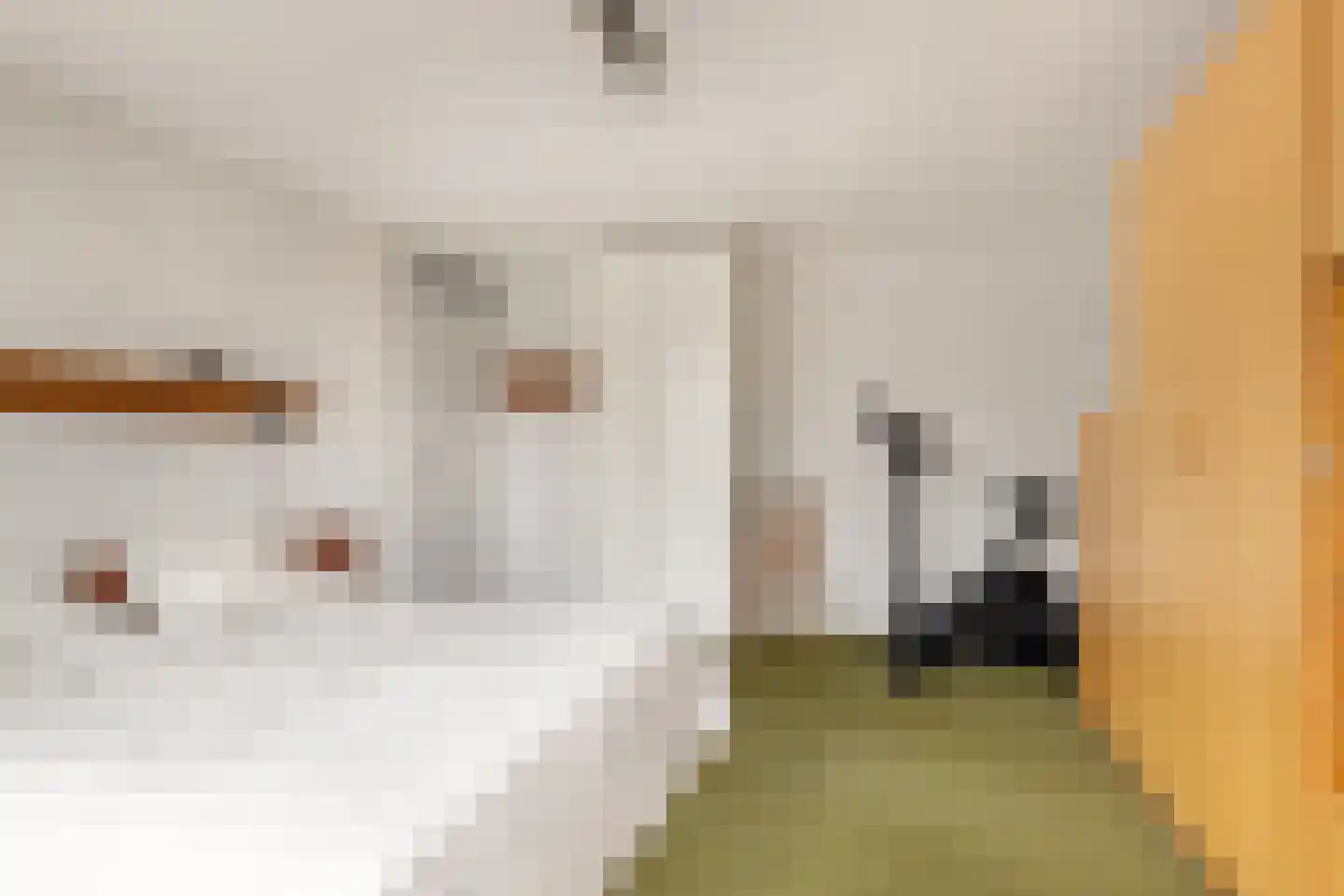 Kasteellaan 37 Oudorp thumbnail 29
