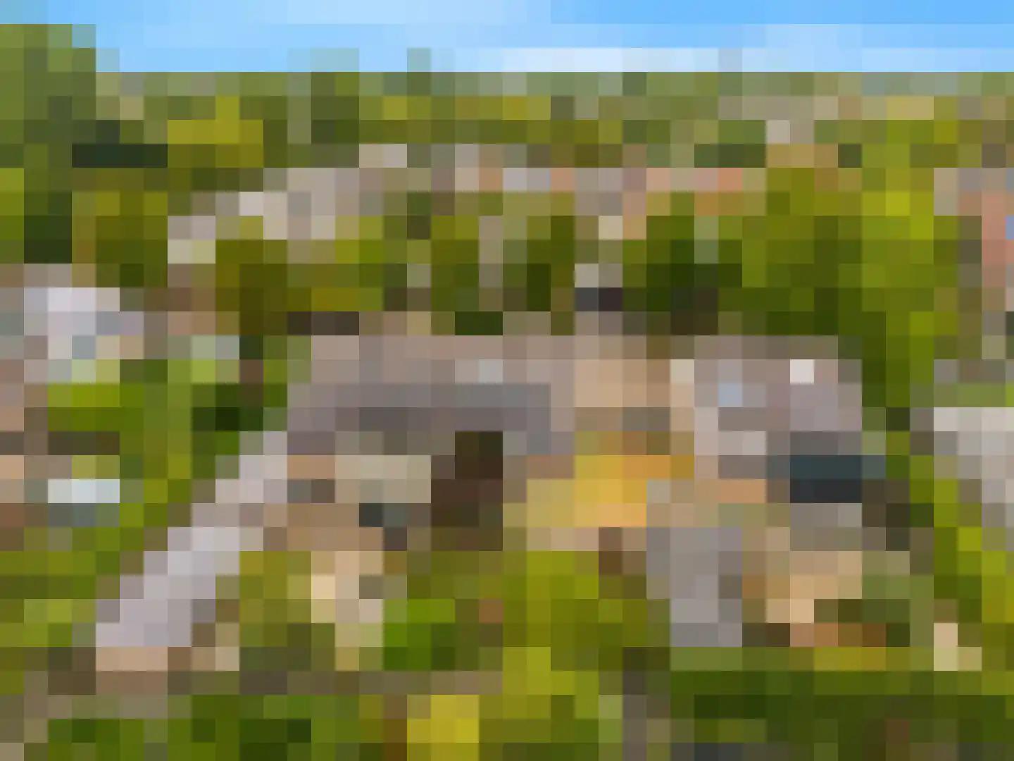 Kasteellaan 37 Oudorp thumbnail 41