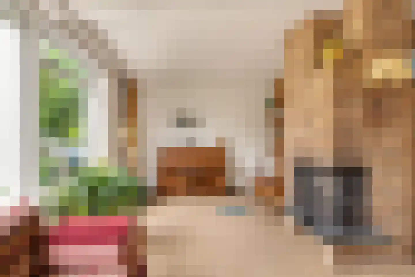 Kasteellaan 37 Oudorp thumbnail 8