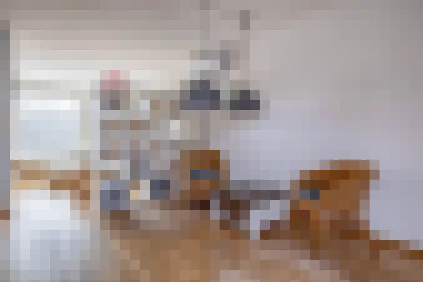 Kasteellaan 39 Tegelen thumbnail 10