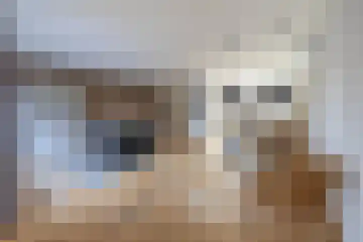Kasteellaan 39 Tegelen thumbnail 13