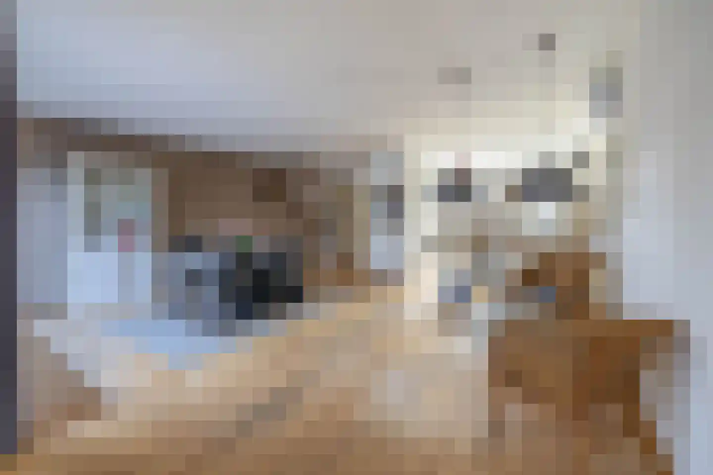 Kasteellaan 39 Tegelen thumbnail 13