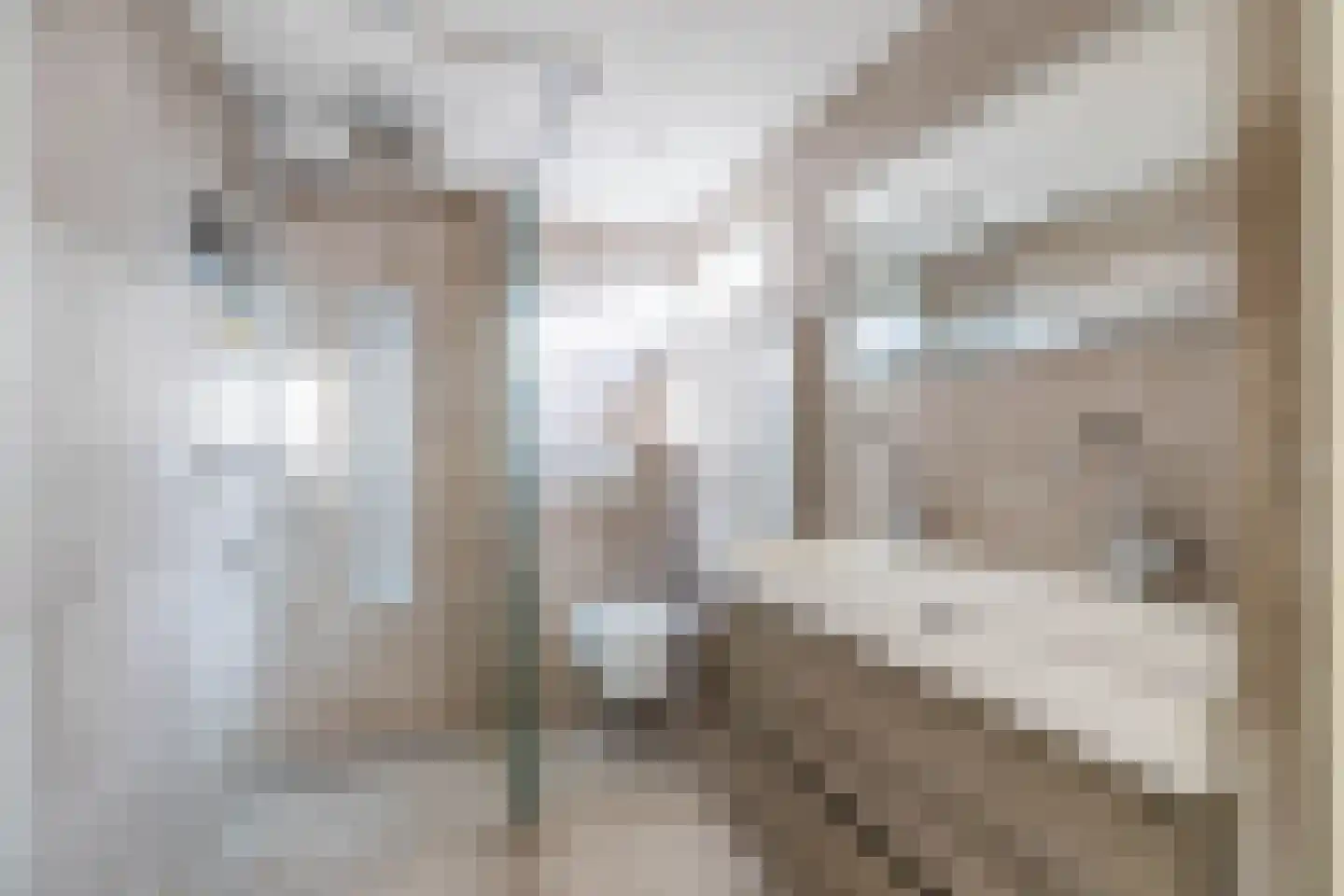 Kasteellaan 39 Tegelen thumbnail 33