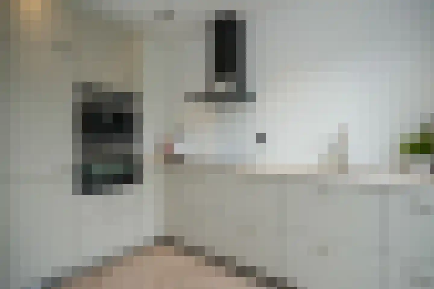Kasteellaan 40 A Tegelen thumbnail 11