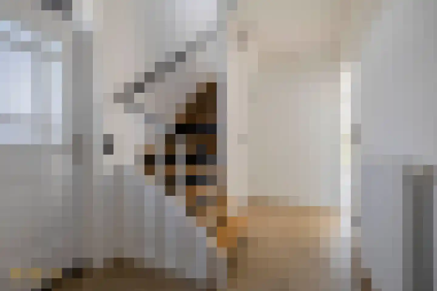 Kasteellaan 40 A Tegelen thumbnail 12