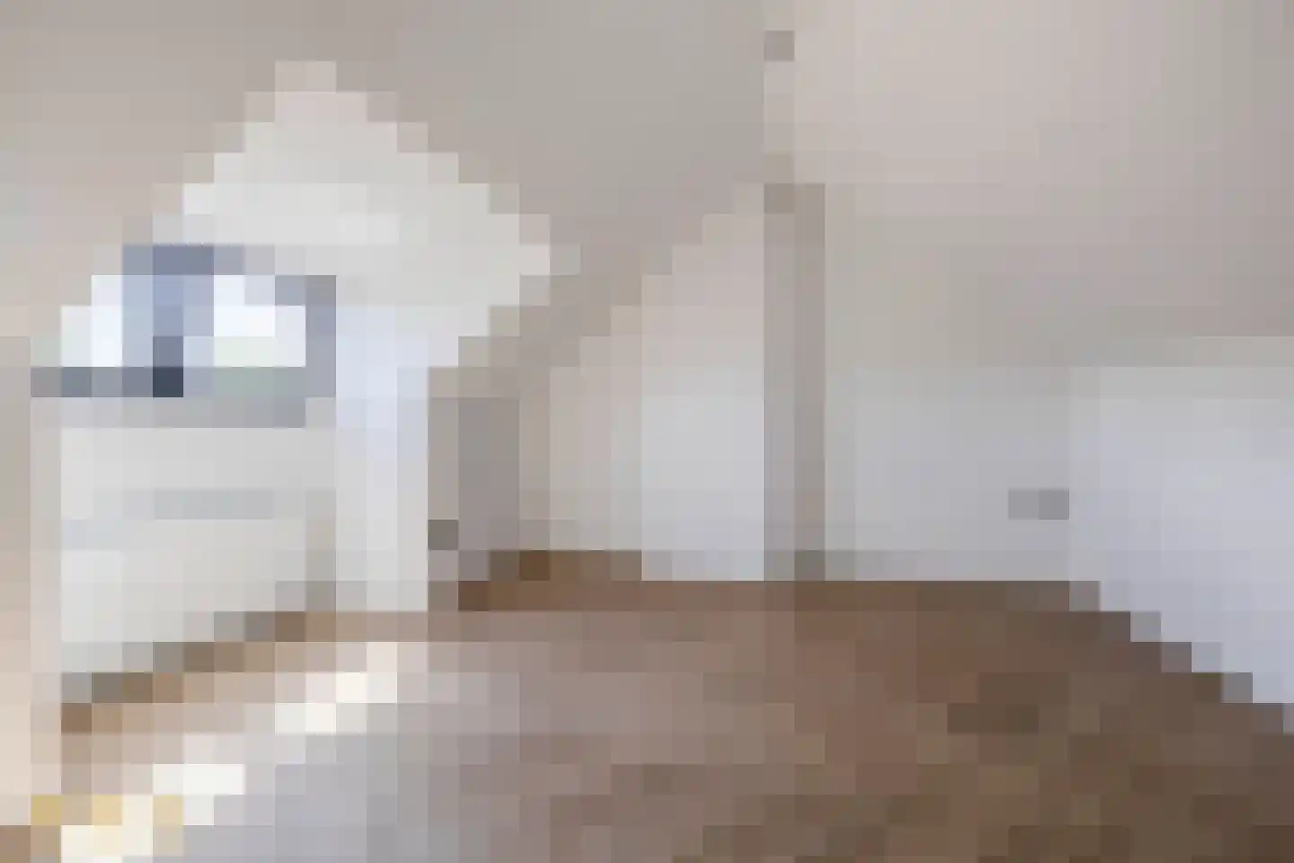 Kasteellaan 40 A Tegelen thumbnail 23