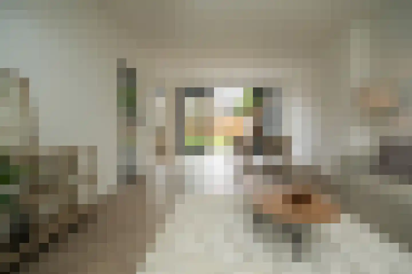 Kasteellaan 40 A Tegelen thumbnail 5