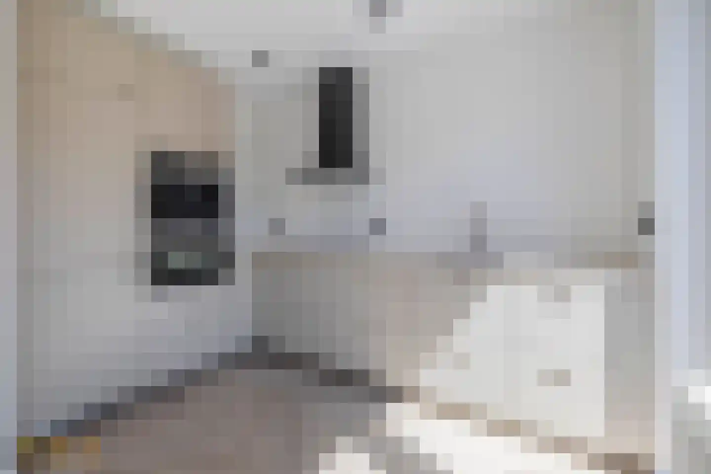 Kasteellaan 40 A Tegelen thumbnail 6