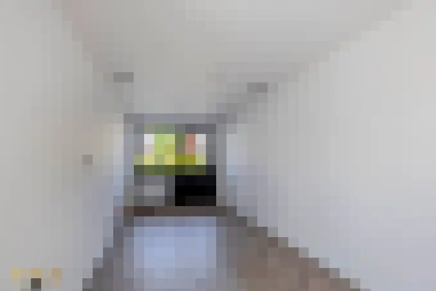 Kasteellaan 40 A Tegelen thumbnail 8