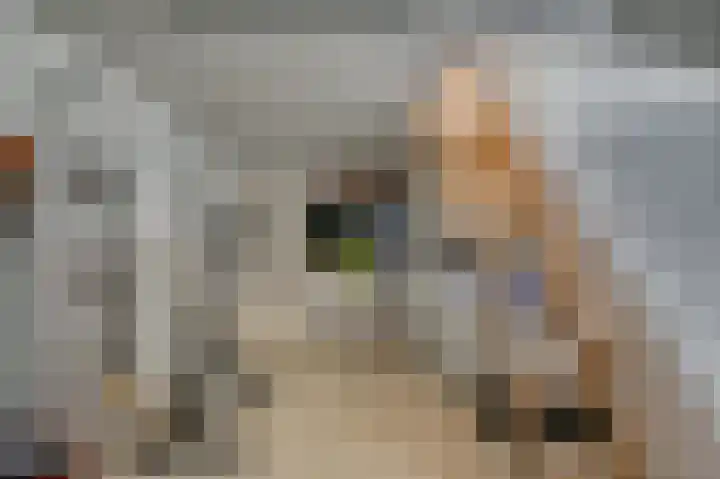 Kasteellaan 41 Tegelen thumbnail 32