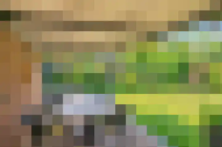 Kasteellaan 41 Tegelen thumbnail 33
