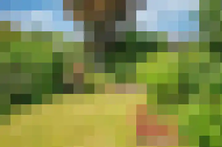 Kasteellaan 41 Tegelen thumbnail 34