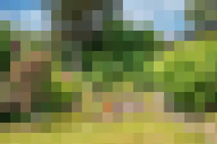 Kasteellaan 41 Tegelen thumbnail 35