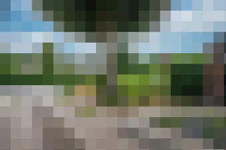 Kasteellaan 41 Tegelen thumbnail 42
