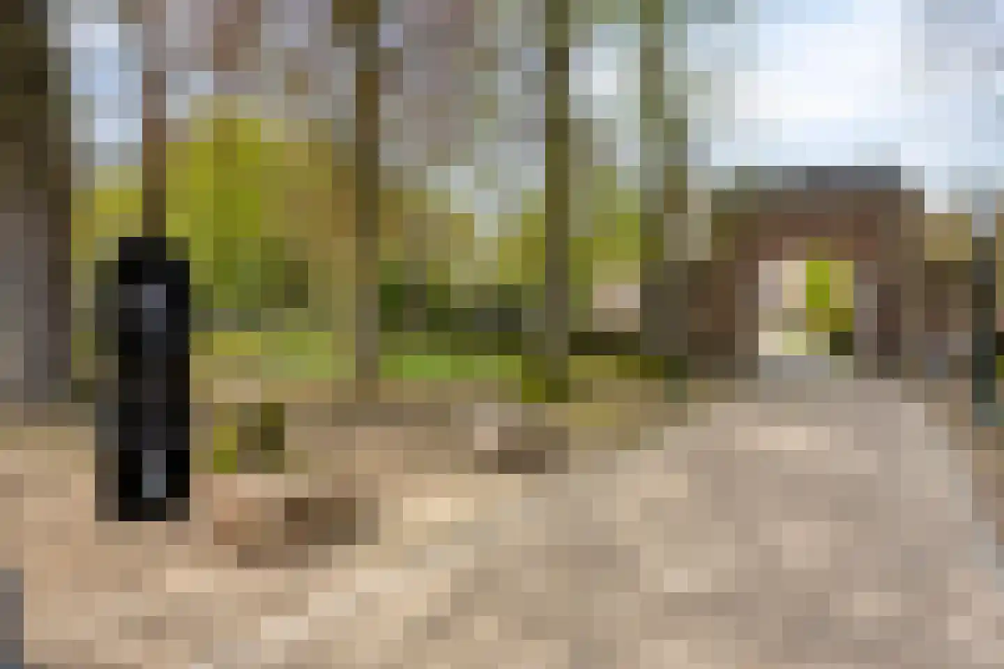 Kasteellaan 43 Wijchen thumbnail 43