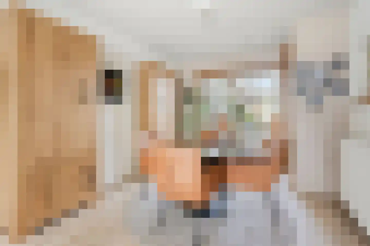 Kasteellaan 43 Wijchen thumbnail 6