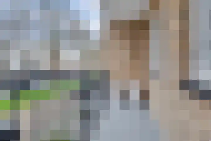 Kasteellaan 55 Waalwijk thumbnail 23