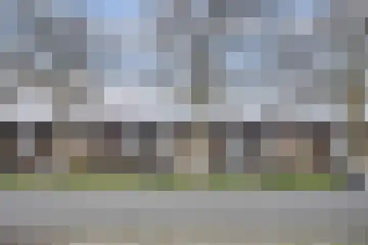 Kasteellaan 55 Waalwijk thumbnail 25