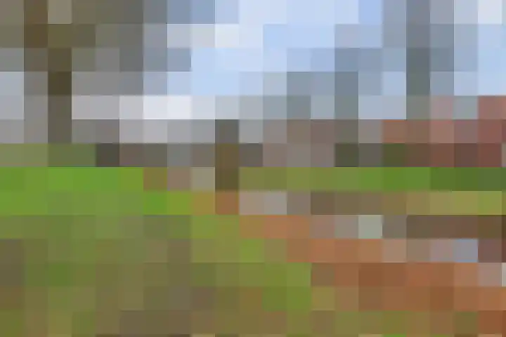 Kasteellaan 55 Waalwijk thumbnail 5