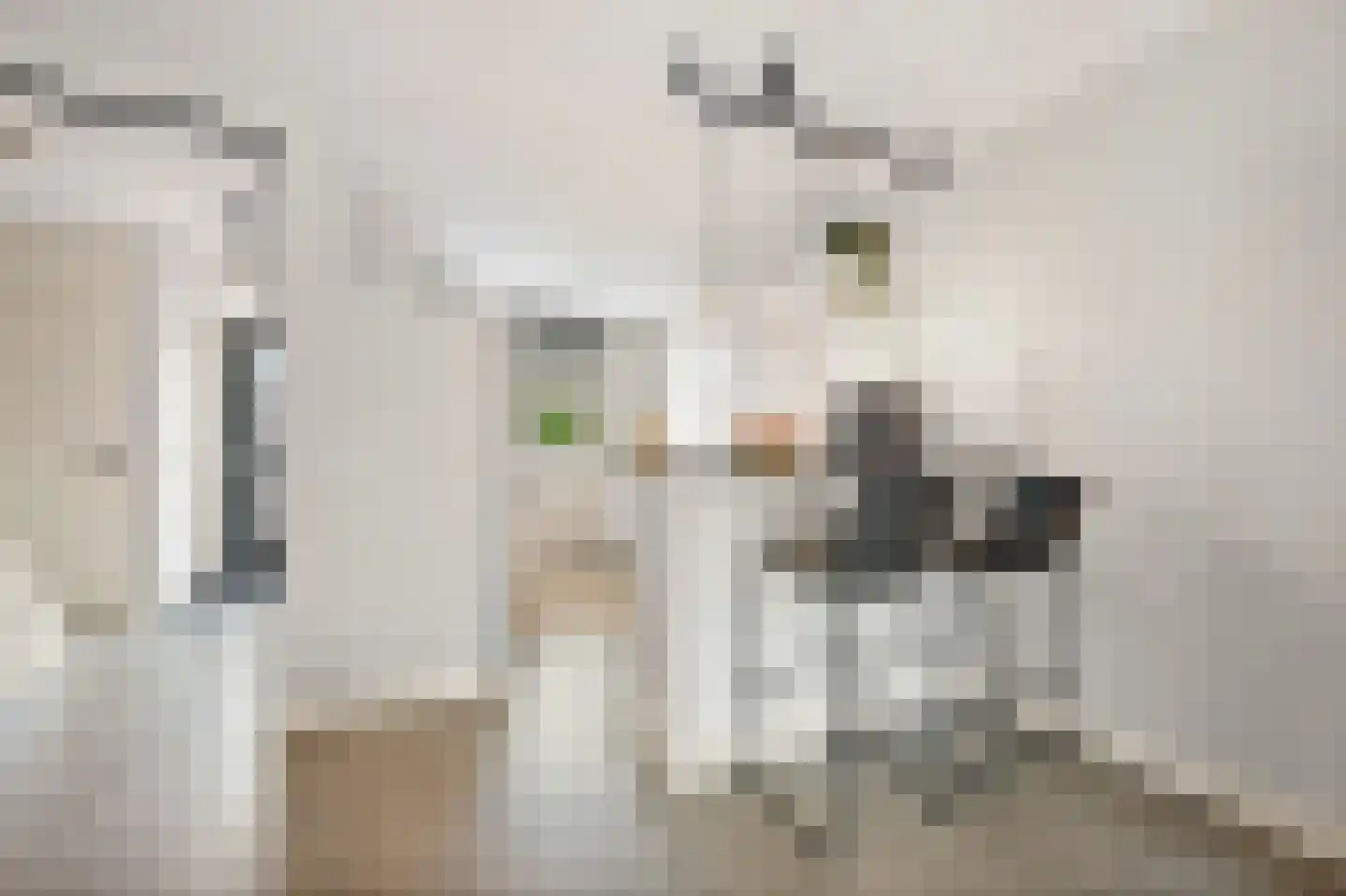 Kasteellaan 56 Schipluiden thumbnail 21