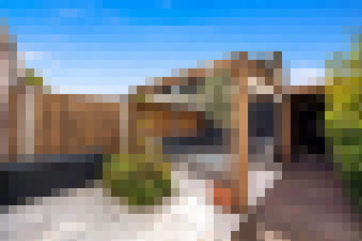 Kasteellaan 56 Schipluiden thumbnail 25