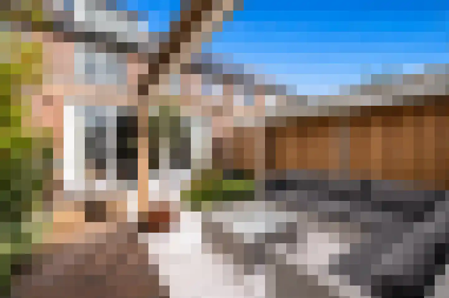 Kasteellaan 56 Schipluiden thumbnail 26