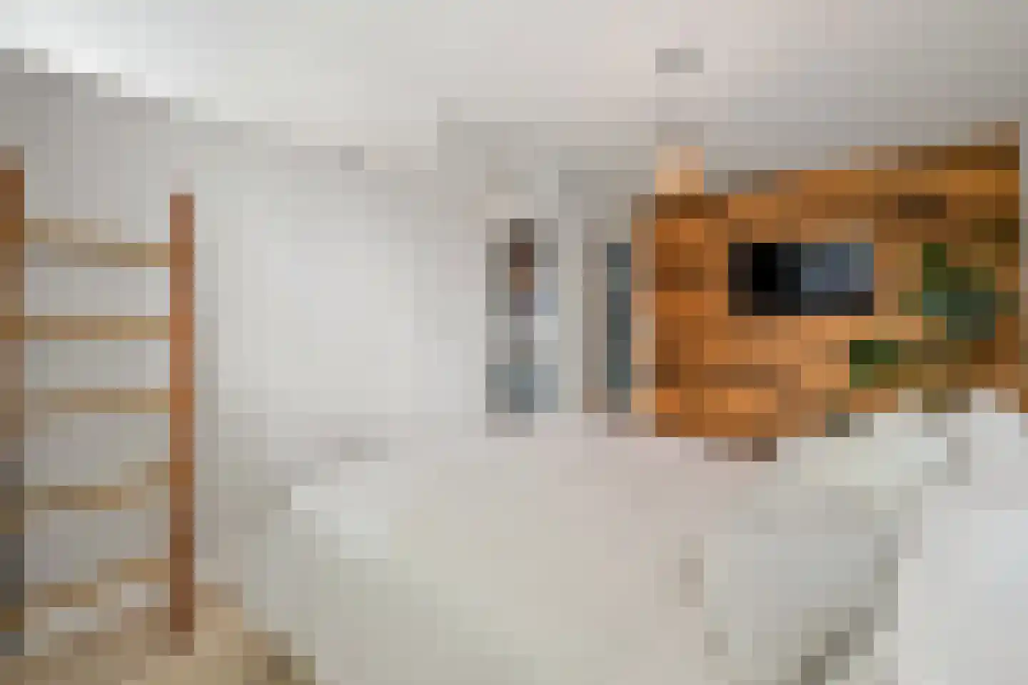 Kasteellaan 56 Schipluiden thumbnail 38