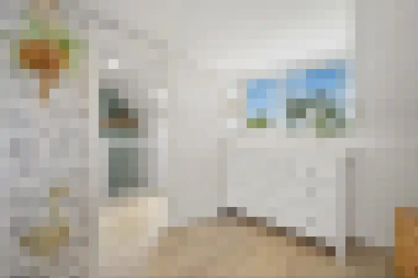 Kasteellaan 56 Schipluiden thumbnail 55