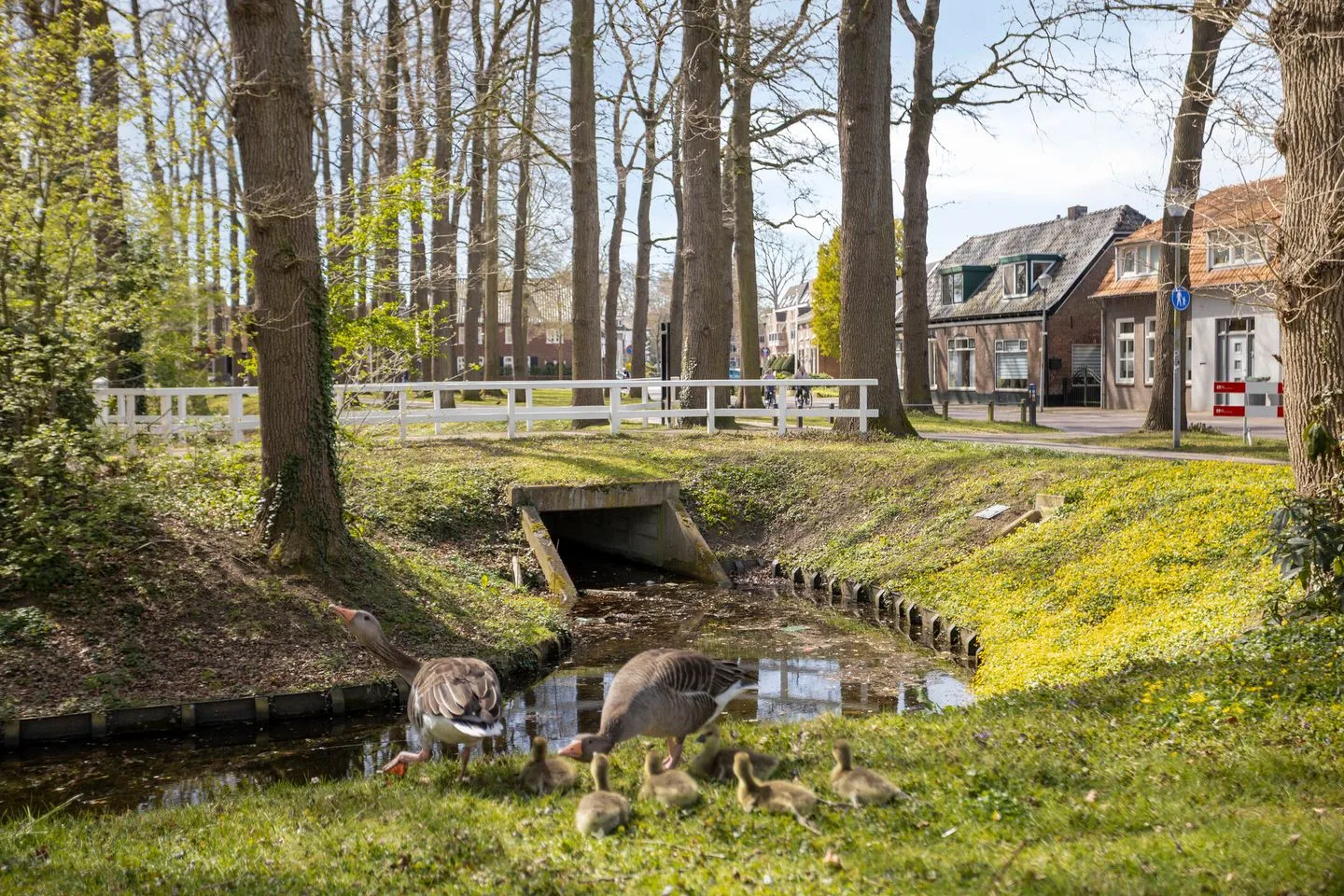Kasteellaan 59 Wijchen thumbnail 62