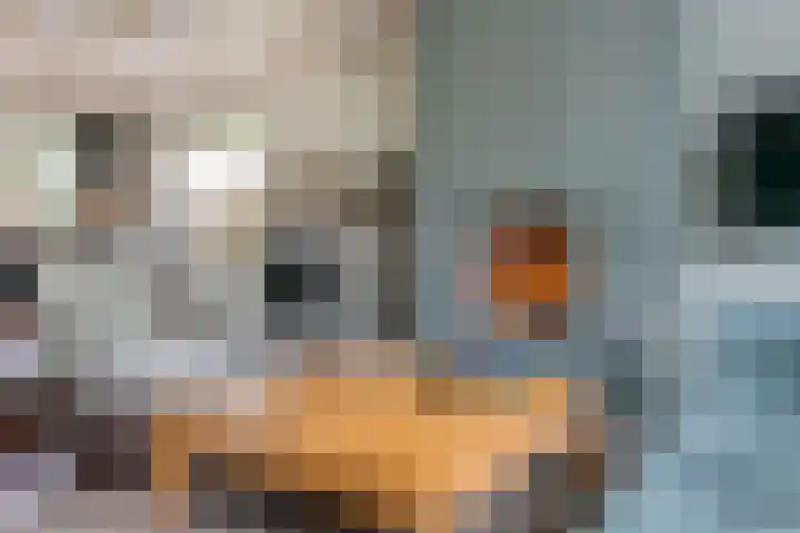 Kasteellaan 7 Druten thumbnail 14